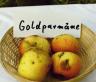 Apfel GOLDPARMÄNE  Foto Brandt