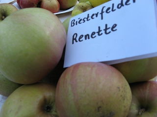 Apfel Biesterfelder Renette Foto Brandt