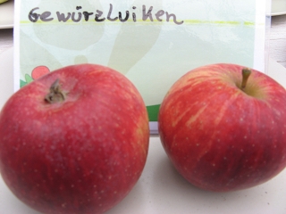 Apfel Gewürzluiken Foto Brandt