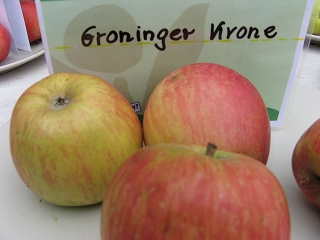 Apfel Groninger Krone Foto Brandt