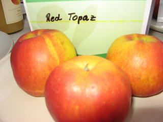 Apfel Red Topaz Foto Brandt
