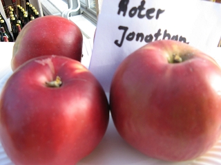 Apfel Roter Jonathan Foto Brandt