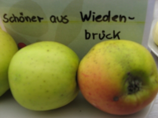 Apfel Schöner aus Wiedenbrück Foto Brandt