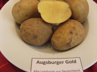 Augsburger Gold Foto Brandt