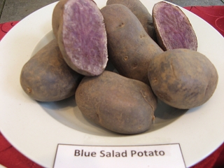 Blue Salad Potato Foto Brandt